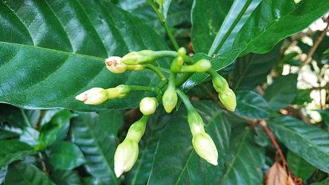 逃离巨人警察 反乌托邦超现实恐怖游戏《Militsioner》放出10分钟演示