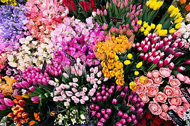 《暗黑破坏神4》新更新发布 踏入齐尔的屠宰场